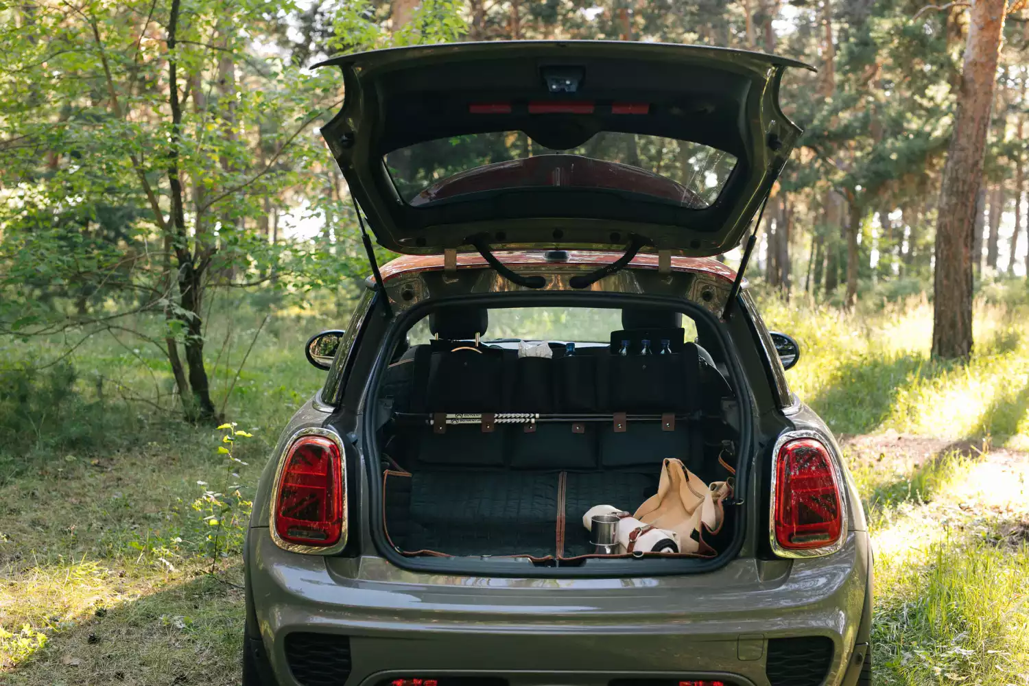 pet seat cover for Dodge Charger