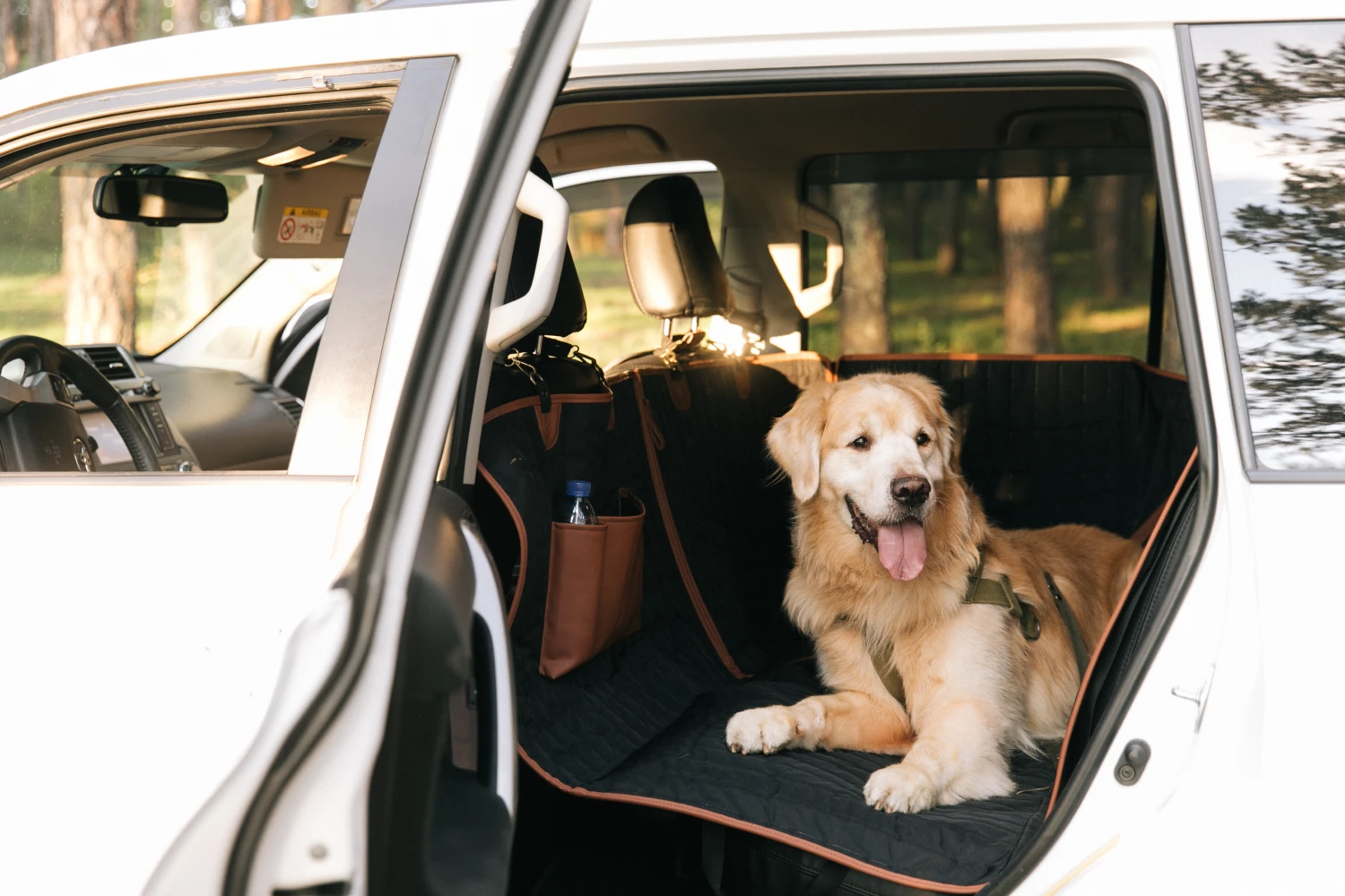 Toyota Corolla back seat cover for Bloodhounds