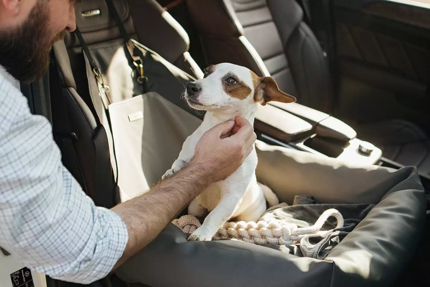 Field Spaniels Dog Car Seat for Buick Encore