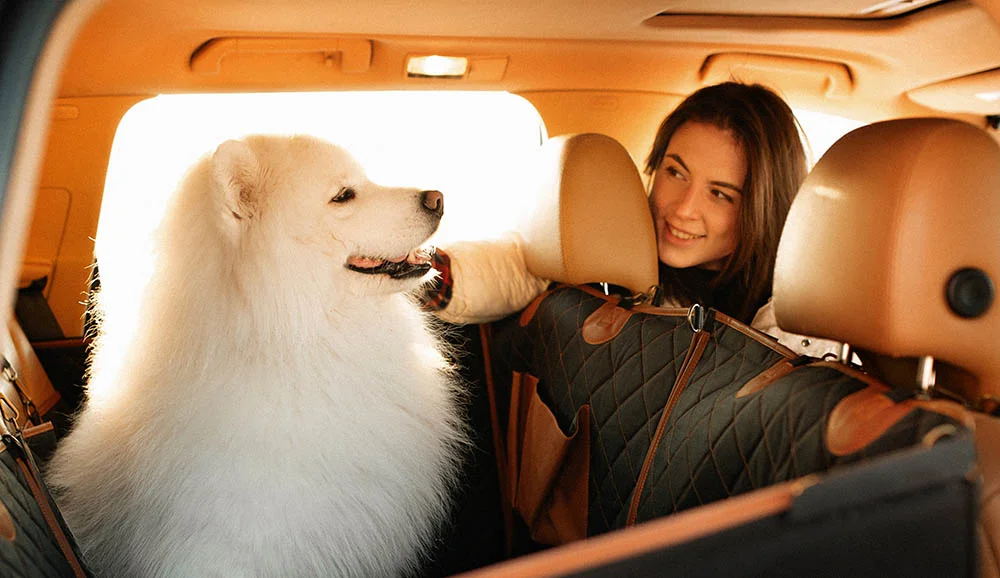 dog back seat cover for GMC Sierra